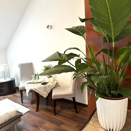 Dolce Hotell 3*